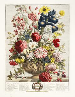 Robert Furber Twelve Months of Flowers - 1202607