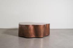 Robert Kuo Contemporary Hand Repouss Copper Root Cocktail Table by Robert Kuo - 4359481