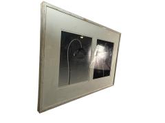 Robert Mapplethorpe EROTIC SURREALIST BLACK WHITE FLOWER PHOTOGRAPHS MANNER OF ROBERT MAPPLETHORPE - 4503334