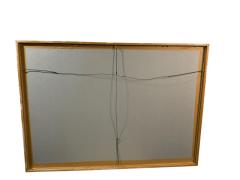 Robert Mapplethorpe EROTIC SURREALIST BLACK WHITE FLOWER PHOTOGRAPHS MANNER OF ROBERT MAPPLETHORPE - 4503335