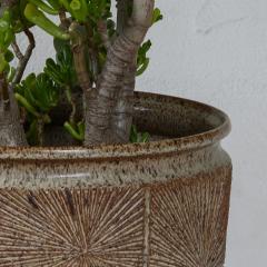 Robert Maxwell Large Robert Maxwell David Cressey Sunburst Planter for Earthgender - 3669047
