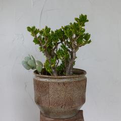 Robert Maxwell Large Robert Maxwell David Cressey Sunburst Planter for Earthgender - 3669049