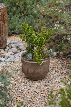 Robert Maxwell Large Robert Maxwell David Cressey Sunburst Planter for Earthgender - 3669056