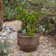 Robert Maxwell Large Robert Maxwell David Cressey Sunburst Planter for Earthgender - 3669058