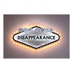 Robert Montgomery The Slow Disappearance 2013 - 3550883