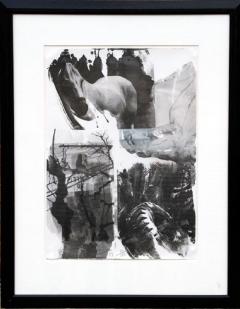 Robert Rauschenberg Horse Silk from the Night Sights Series - 847474