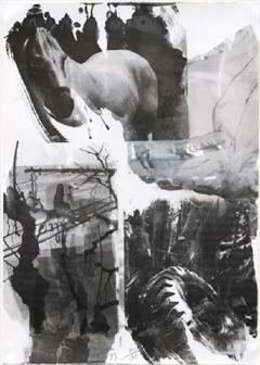 Robert Rauschenberg Horse Silk from the Night Sights Series - 848517