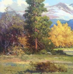 Robert W Wood Longs Peak Colorado Aspens  - 340987