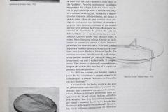 Roberto Aflalo Round Spider Coffee Table in Ivory Wood by Roberto Aflalo for Blanco e Preto - 4488675