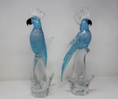 Roberto Beltrami Murano Glass Blue and Silver Parrots by Roberto Beltrami - 2014263
