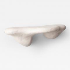 Rogan Gregory Rogan Gregory Unique Sculptural Wall Mounted Shelf 2019 - 4490986