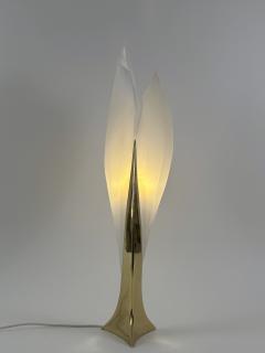 Roger Rougier Modernist Acrylic Brass Table Lamp or Floor Light by Maison Rougier 1970s - 4599957