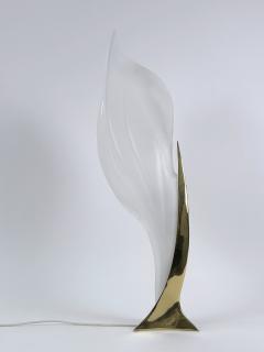 Roger Rougier Modernist Acrylic Brass Table Lamp or Floor Light by Maison Rougier 1970s - 4599958