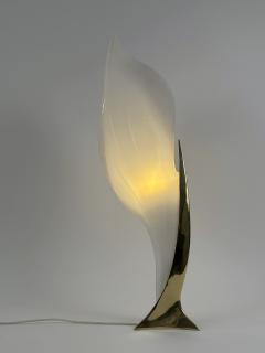 Roger Rougier Modernist Acrylic Brass Table Lamp or Floor Light by Maison Rougier 1970s - 4599959
