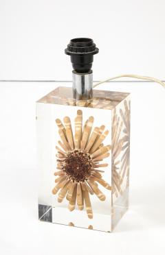 Romeo Paris 1970s Lucite with a sea urchin inclusion attributed to Romeo Paris - 3717058