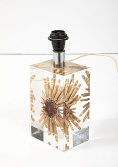 Romeo Paris 1970s Lucite with a sea urchin inclusion attributed to Romeo Paris - 3717059