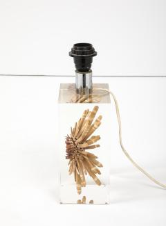 Romeo Paris 1970s Lucite with a sea urchin inclusion attributed to Romeo Paris - 3717060