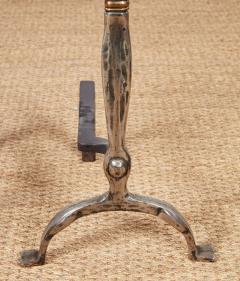 Rose Head Brass and Steel Andirons - 4205404