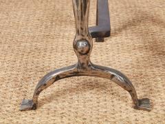 Rose Head Brass and Steel Andirons - 4205405