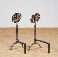 Rose Head Brass and Steel Andirons - 4205411