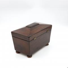 Rosewood Sarcophagus Tea Caddy English Circa 1860 - 3992592