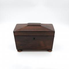 Rosewood Sarcophagus Tea Caddy English Circa 1860 - 3992593