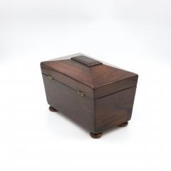 Rosewood Sarcophagus Tea Caddy English Circa 1860 - 3992597