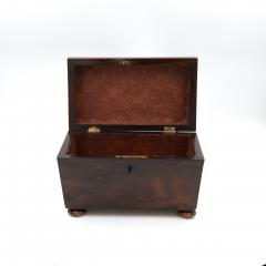 Rosewood Sarcophagus Tea Caddy English Circa 1860 - 3992598