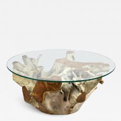 Round Organic Teak Root Coffee Table with Safety Glass Plate 2021 - 3471608