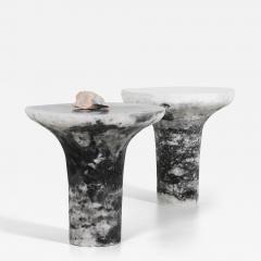 Roxane Lahidji Marbled Salts Coffee Table - 3241081