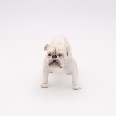 Royal Doulton Bulldog England circa 1970 - 3389986