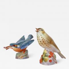 Royal Worcester Two Royal Worcester porcelain bird models of a kingfisher and a thrush - 3360345