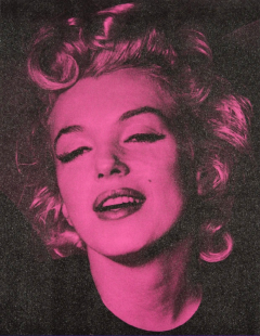 Russell Young Marilyn Hope Persian Rose Black - 4213269