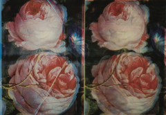 Russell Young We All Stand - 4488347