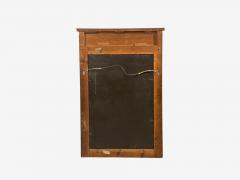 Russian Neoclassical Wall Mirror Mahogany Bronze Baltic States 1860s - 4791199