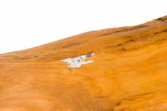 Rustic Adirondack Pine Bench - 3172929