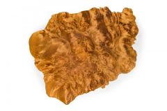 Rustic Adirondack Scalloped Petrified Wood and Branch Base Side End Table - 4670798