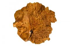 Rustic Adirondack Scalloped Petrified Wood and Branch Side End Table - 4670669