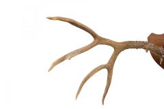 Rustic Decorative Deer Antler and Red Suede Wall Plaque - 4407960