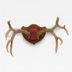 Rustic Decorative Deer Antler and Red Suede Wall Plaque - 4412421