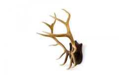 Rustic Decorative Elk Antler and Wood Wall Plaque - 4660669