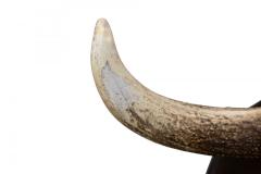 Rustic Decorative Elk Antler and Wood Wall Plaque - 4660674