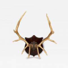 Rustic Decorative Elk Antler and Wood Wall Plaque - 4690127