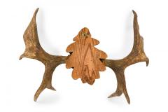 Rustic Decorative Moose Antler Oak Leaf Wall Plaque - 4668336