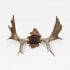 Rustic Decorative Moose Antler Oak Leaf Wall Plaque - 4709164