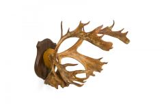 Rustic Decorative Moose Antler Wall Plaque - 4667826
