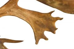 Rustic Decorative Moose Antler Wall Plaque - 4667827