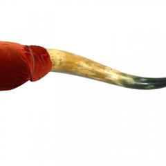 Rustic Longhorn Taxidermy - 4407640