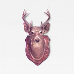 Rustic Mounted Deer Head Taxidermy - 4529200