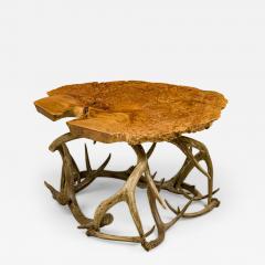 Rustic Petrified Wood and Deer Antler End Side Table - 4186375